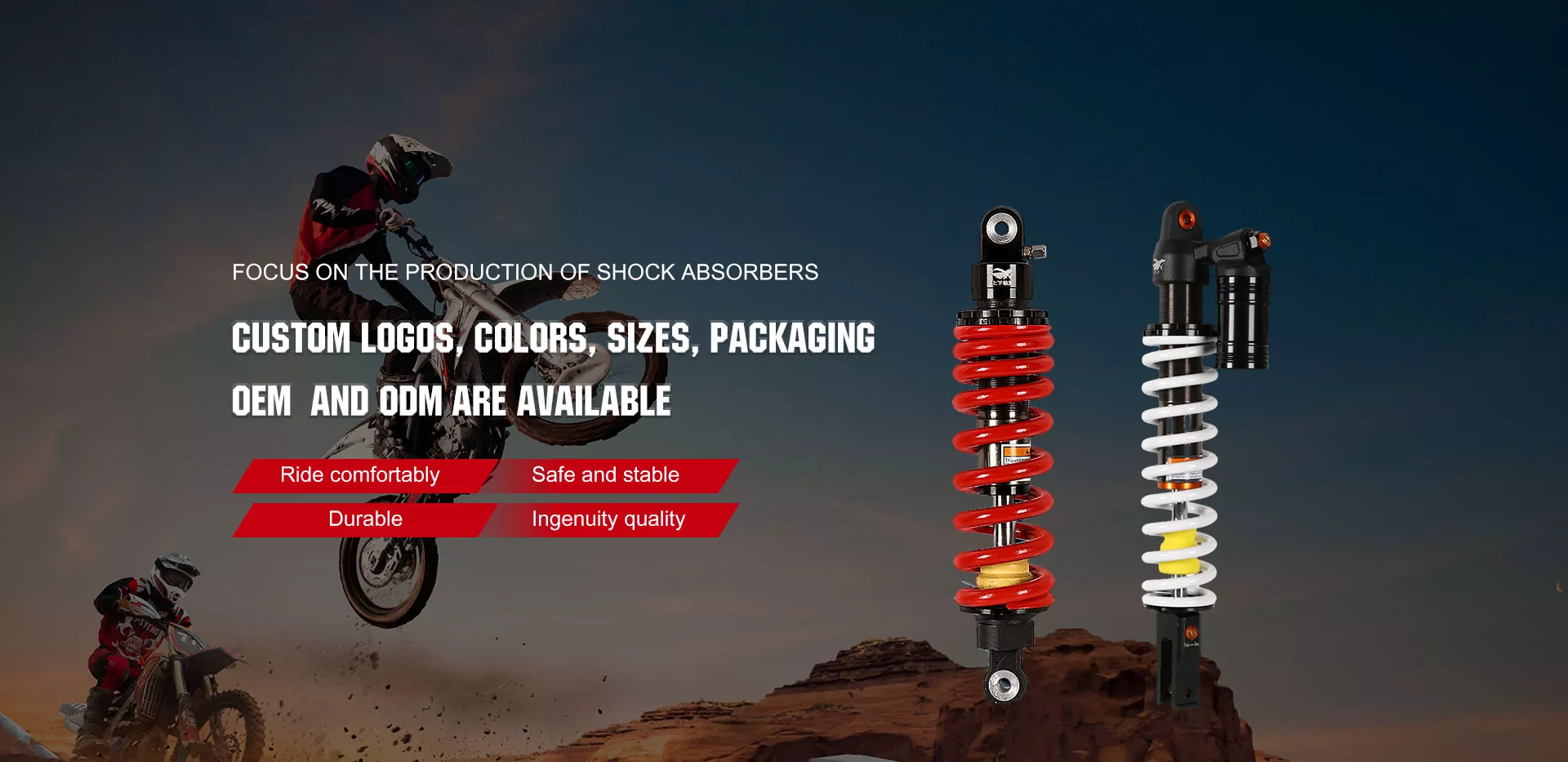 चीन रियर शॉक अवशोषक